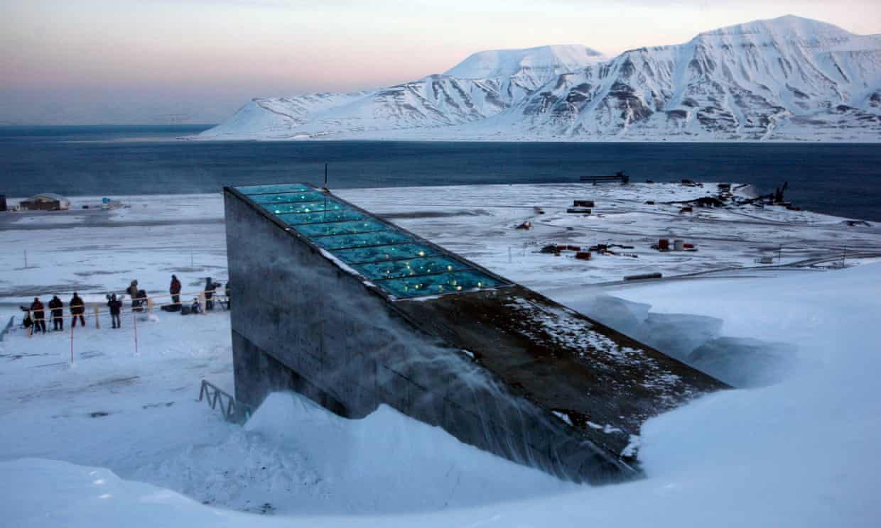 Flooded Seeds in the Arctic